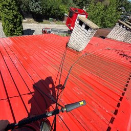 Wycinka drzew Siedlce 4