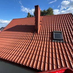 Wycinka drzew Siedlce 2