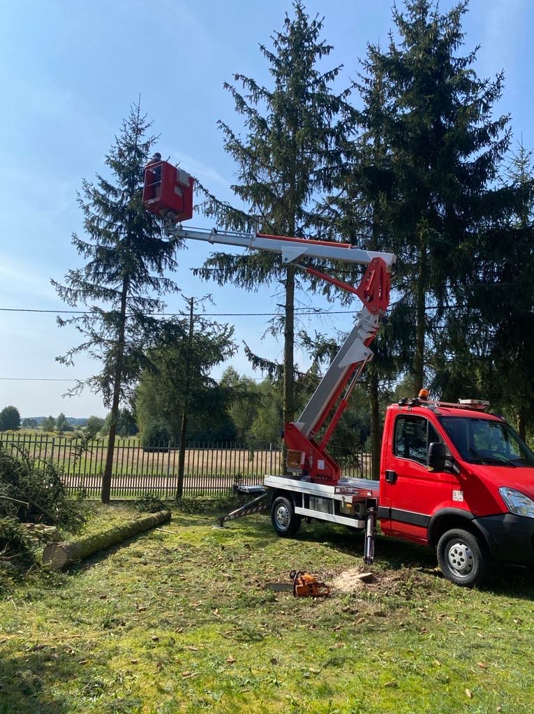 Czerwony podnośnik koszowy na tle wysokich sosen, z odciętym pniem drzewa i piłą spalinową na trawie, sugerujące prace związane z pielęgnacją drzewostanu.