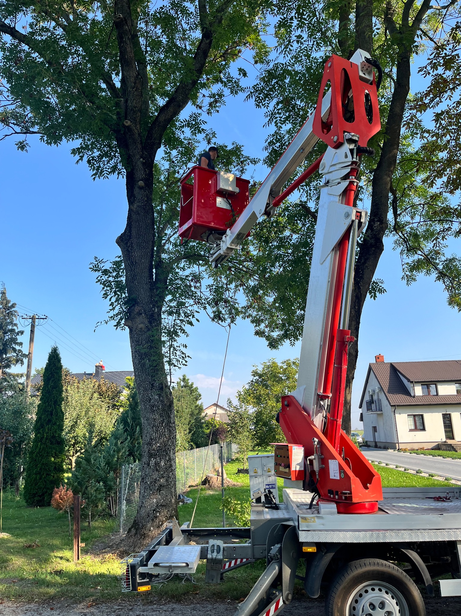 Pracownik w czerwonym koszu podnośnika teleskopowego, na tle zieleni drzew i błękitnego nieba, wykonuje prace przy drzewie w ogrodzie.