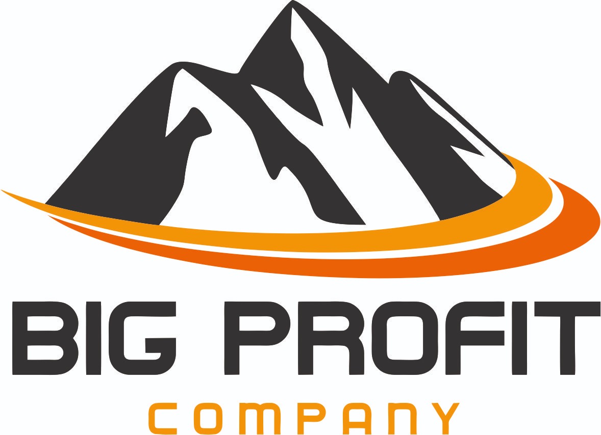 Logo firmy Big Profit Company z motywem górskim w kolorach szaro-biało-pomarańczowych.