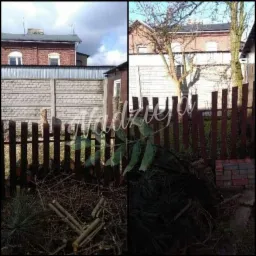 Konstantynów Łódzki wycinka gruszy