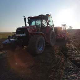 Czerwony traktor Case IH z siewnikiem na polu ornym, w tle wschodzące słońce i drzewa.