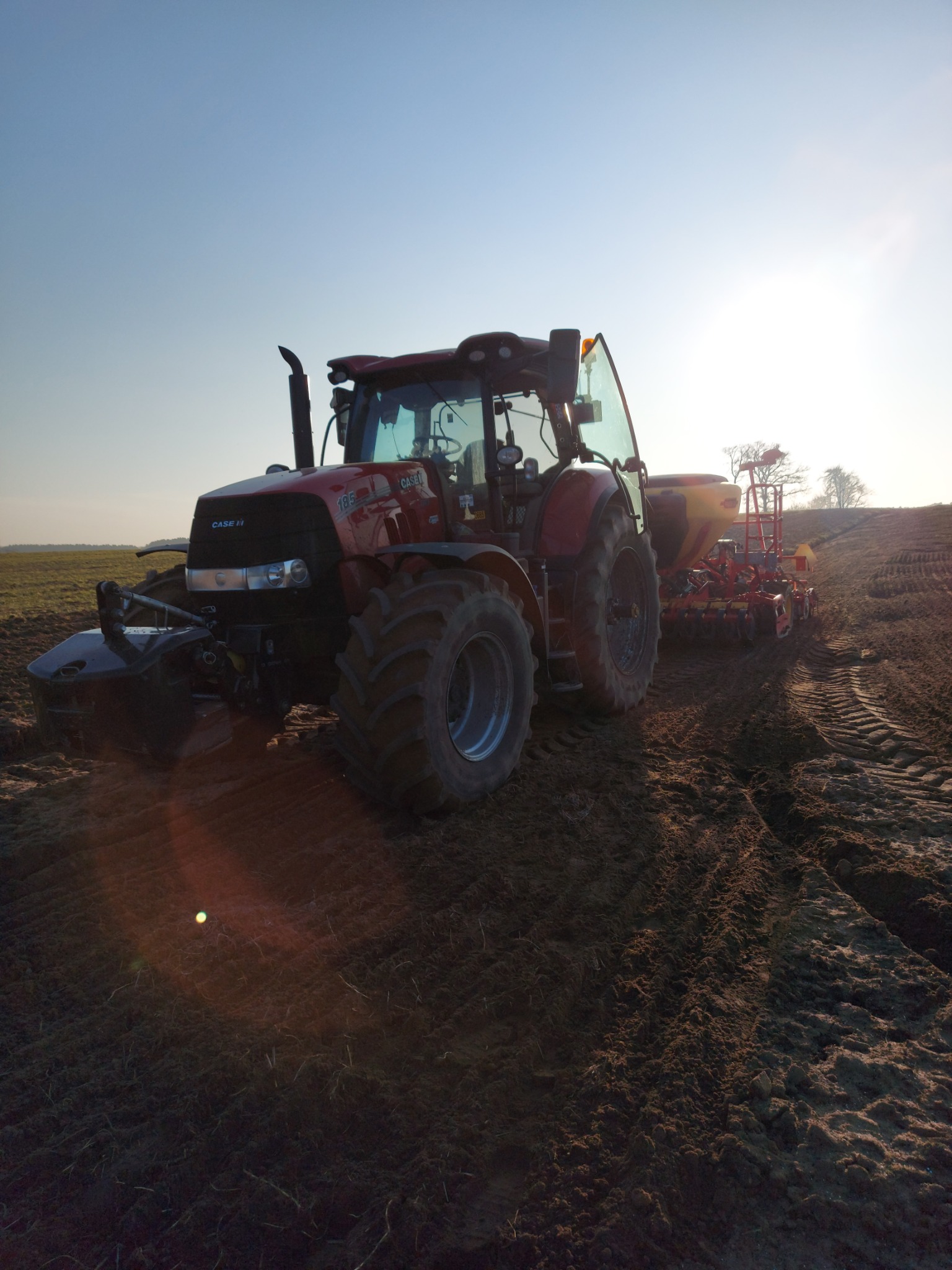 Czerwony traktor Case IH z siewnikiem na polu ornym, w tle wschodzące słońce i drzewa.