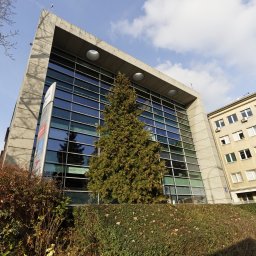 Reklama internetowa Warszawa 1