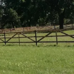 Długie, drewniane ogrodzenie z poprzeczkami w kształcie litery X, biegnące przez zieloną łąkę w słoneczny dzień; w tle widoczne drzewa.