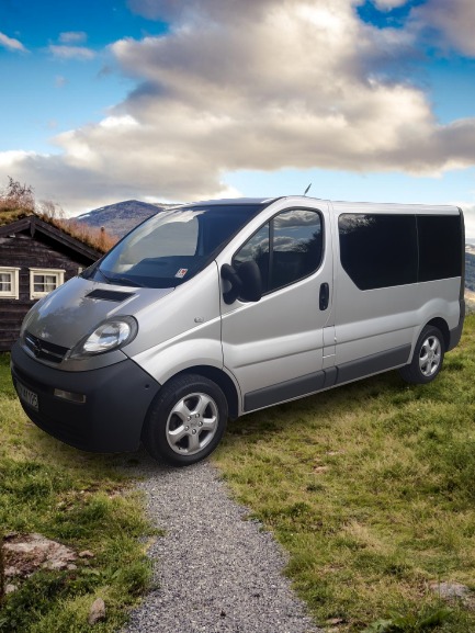 Srebrny Opel Vivaro z przyciemnianymi szybami, zaparkowany na trawiastym terenie w Trzebiatowie, z górskim krajobrazem i tradycyjnym domem z zielonym dachem w tle.