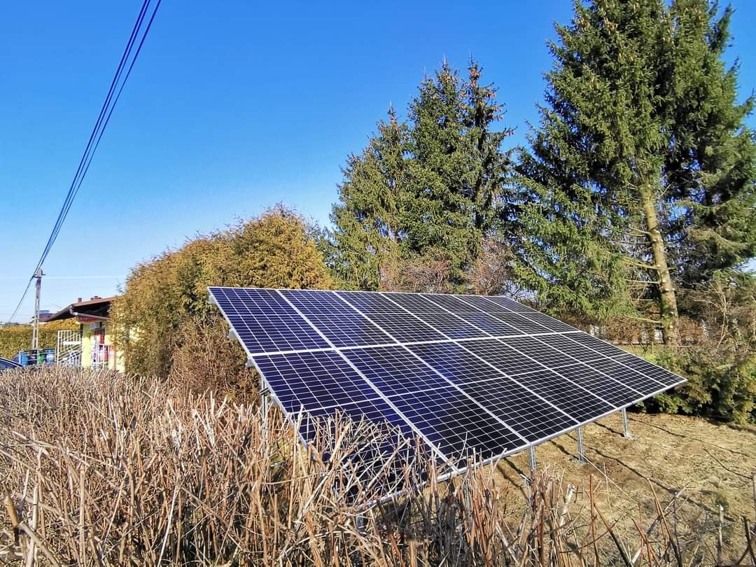 Panel fotowoltaiczny zamontowany na konstrukcji wsporczej, widoczny na tle drzew iglastych i błękitnego nieba, z krzewami na pierwszym planie.