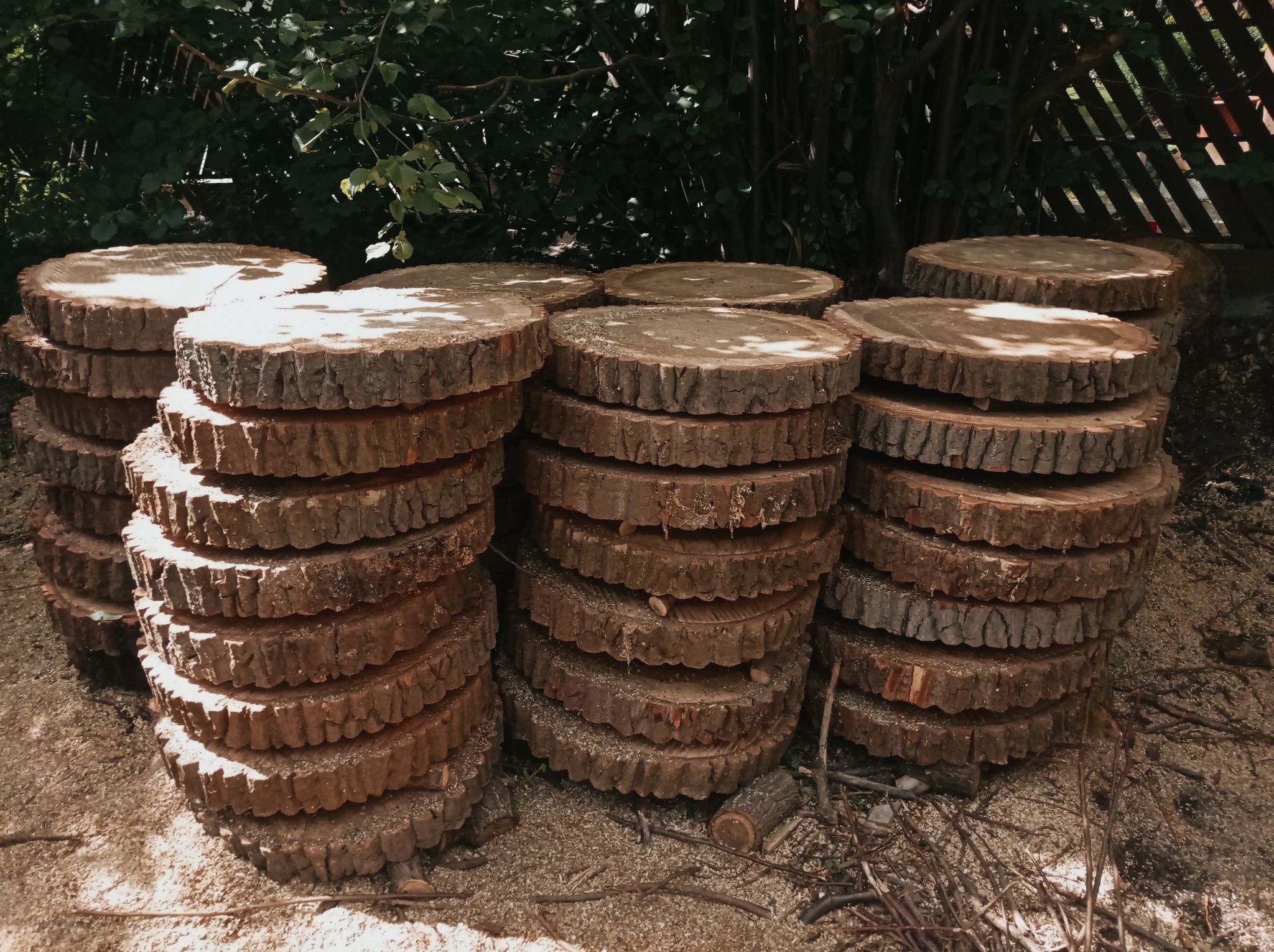 Stosy okrągłych plastrów drewna ułożone jeden na drugim, przygotowane do dalszej obróbki, z widocznymi śladami cięcia i korą, leżące na ziemi pokrytej trocinami, w tle zieleń i fragment drewnianego...