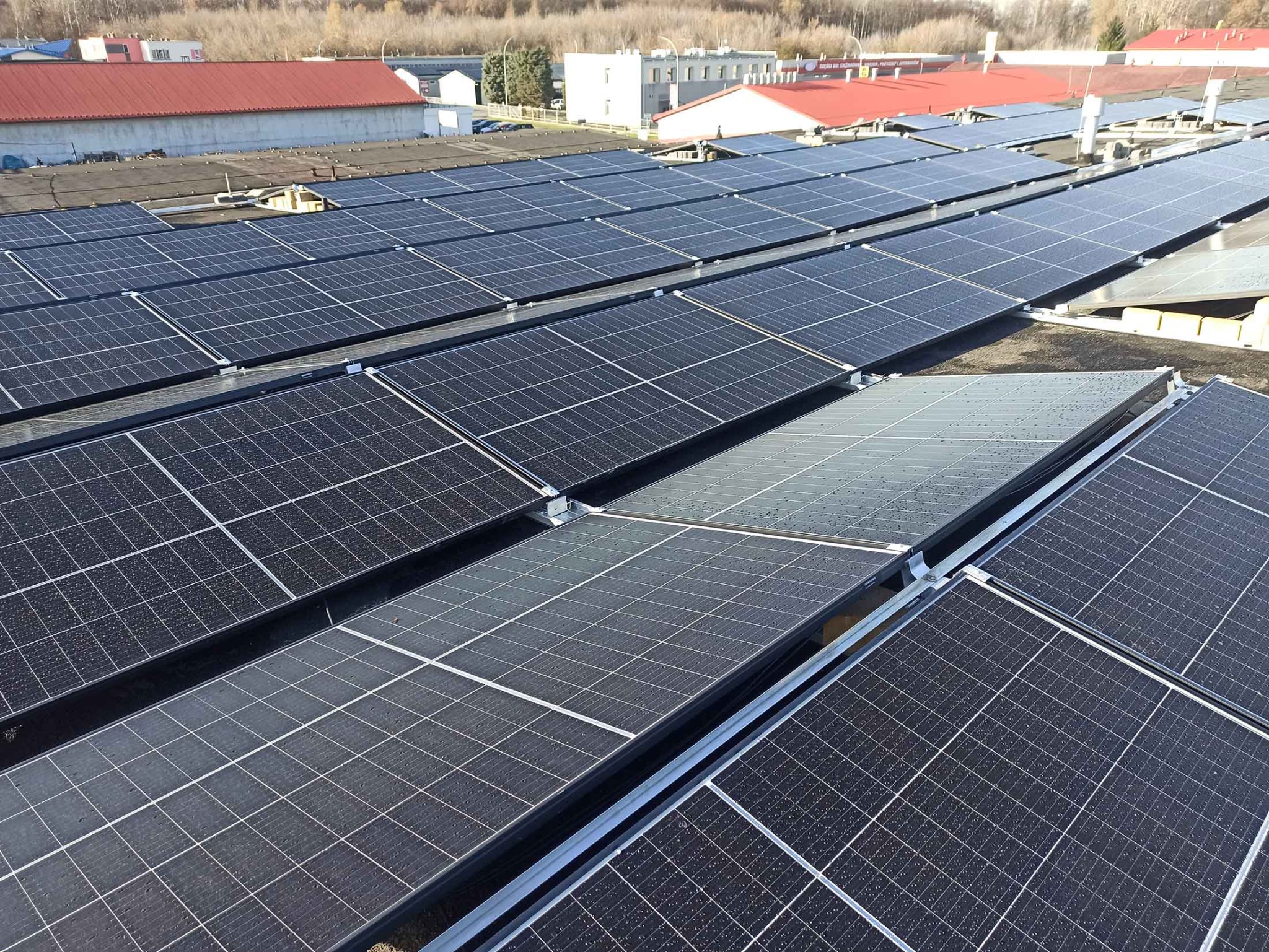 Rozległa instalacja paneli słonecznych na dachu budynku przemysłowego, widoczne krople wody na powierzchni paneli, w tle budynki z czerwonymi dachami i drzewa bez liści.