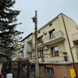 Bartuzi Cezary - Arborysta przycina wysokie drzewo w Puławach, widoczne budynki z balkonami i ogrodzenie. Prace w toku, drzewo częściowo ogołocone z gałęzi.