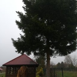 Bartuzi Cezary - Ogrodnik Puławy