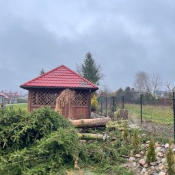 Kolejna wycinka wykonana bezpiecznie bez uszkodzeń