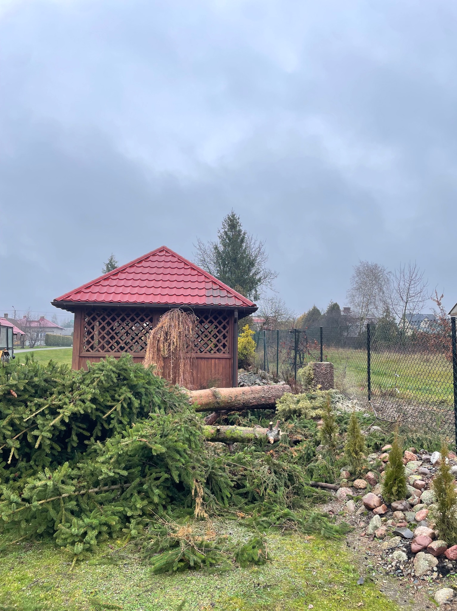 Kolejna wycinka wykonana bezpiecznie bez uszkodzeń