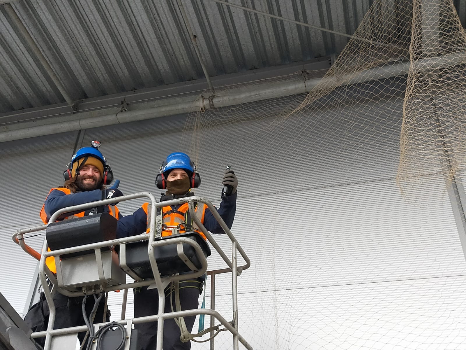 Montaż siatki przeciw ptactwu - 2021 r.