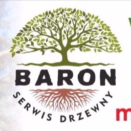 Baron serwis drzewny - Odśnieżanie Dachów Bielsko-Biała
