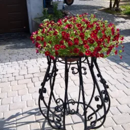 Kaskadowa kompozycja czerwonych kwiatów w czarnej, ażurowej donicy na kostce brukowej, z fragmentem budynku i ogrodu w tle.