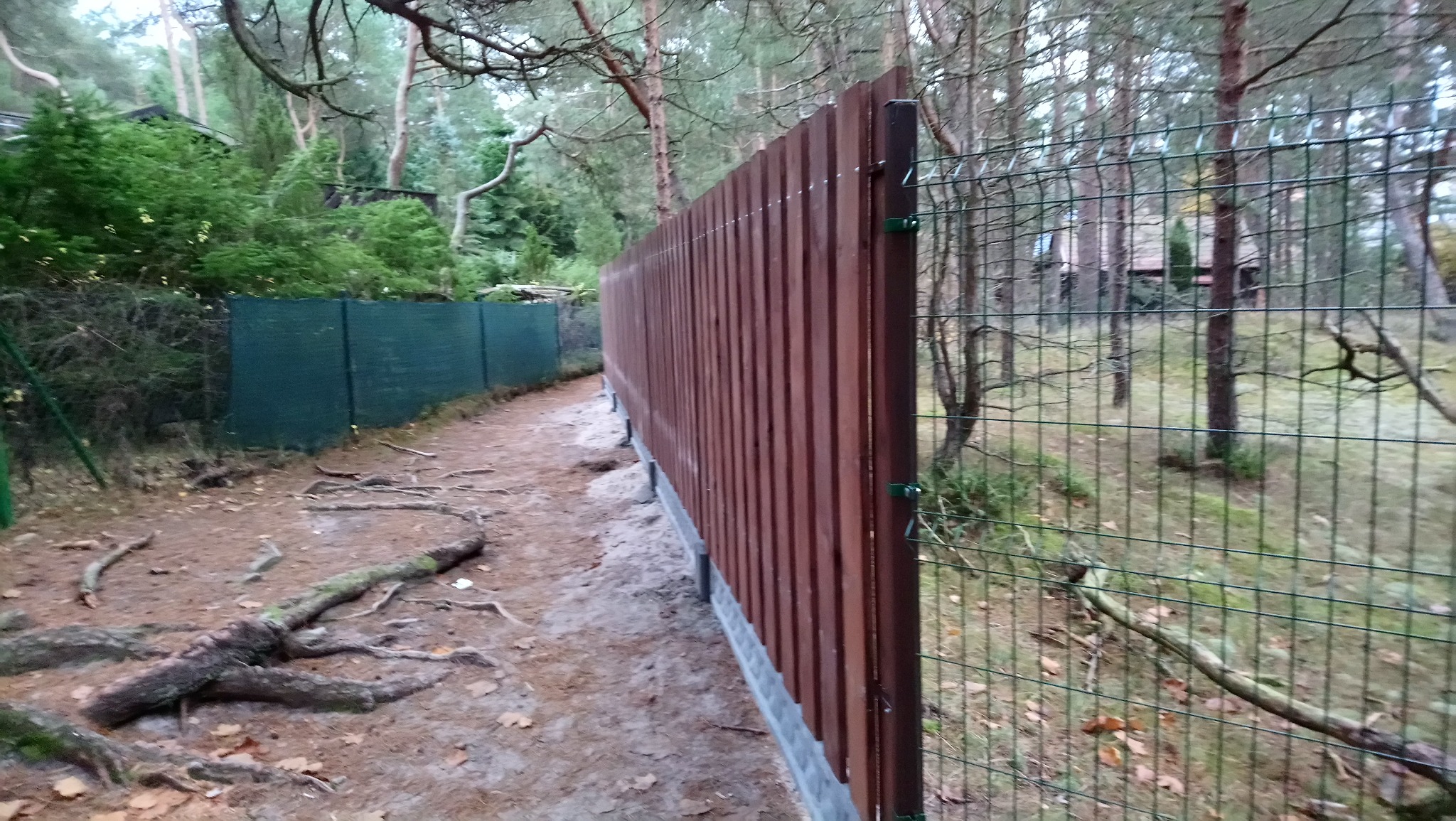 Długi, brązowy, drewniany płot lamelowy z betonową podmurówką oddziela posesję od zarośniętego lasu, widoczny fragment siatki ogrodzeniowej