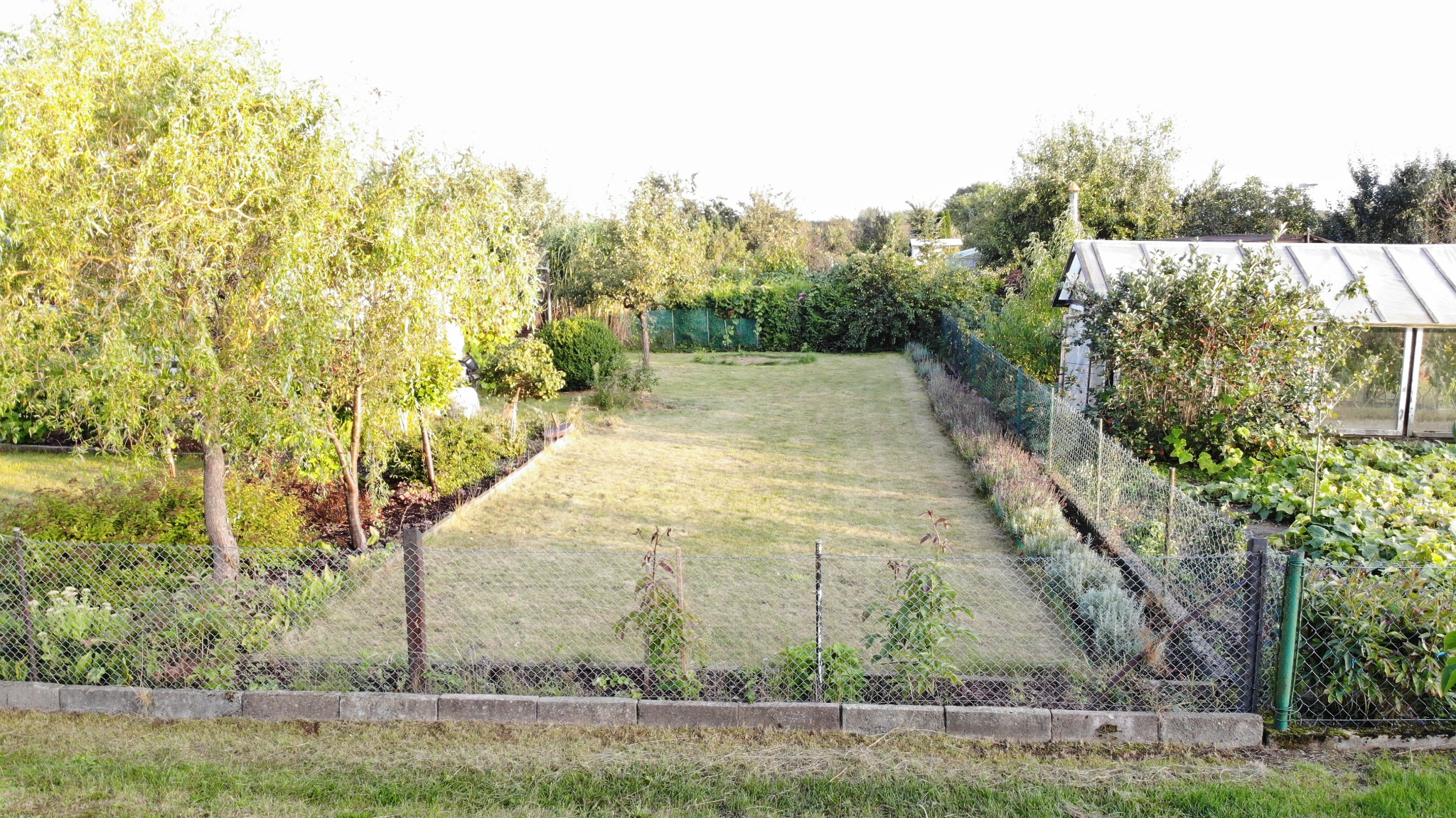 Widok z góry na wypielęgnowany trawnik otoczony drzewami, krzewami i szklarnią, ogrodzony siatką z betonową podmurówką.