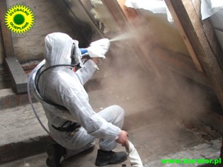 Pracownik w kombinezonie ochronnym aplikuje pianę izolacyjną na poddaszu, widoczna drewniana konstrukcja dachu i rozpylana piana.