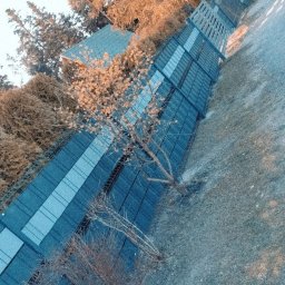 Wyburzenia i Rozbiórki Adam Kuśmierczyk - Długi, niebieski płot panelowy z widocznymi słupkami i panelami, biegnący wzdłuż drogi, z młodym drzewkiem liściastym rosnącym tuż przy nim.