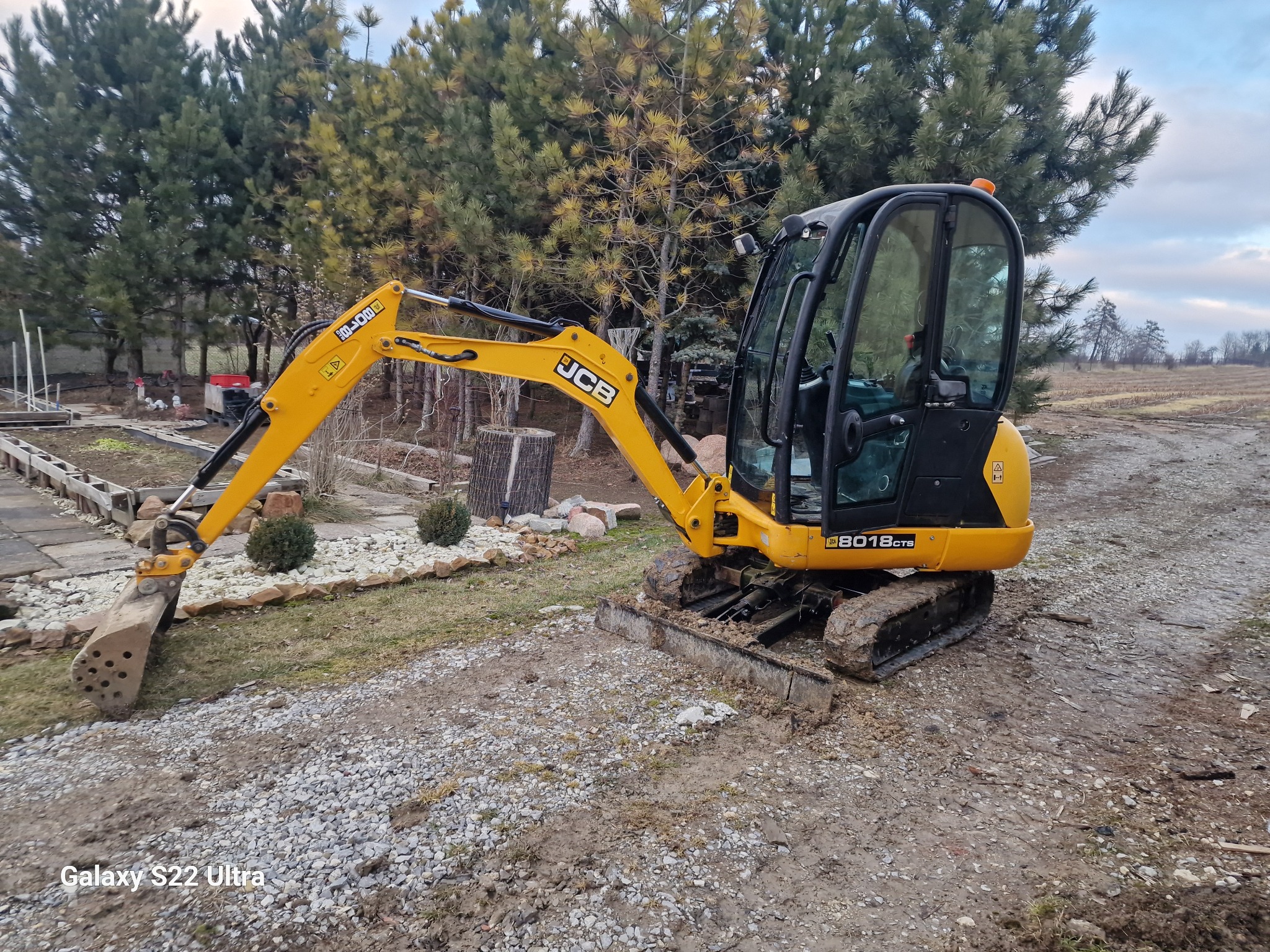 Żółta mini koparka JCB 8018 CTS na nierównym, częściowo utwardzonym terenie z widocznymi śladami opon, w tle drzewa iglaste i fragment posesji z elementami drewnianej konstrukcji.