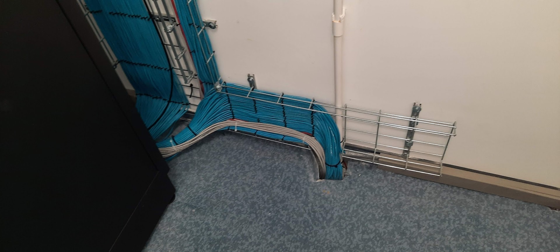 Profesjonalnie ułożone, niebieskie kable w metalowej korycie, zamocowane do ściany. Widoczne fragmenty szafy rack i podłogi z wykładziną.