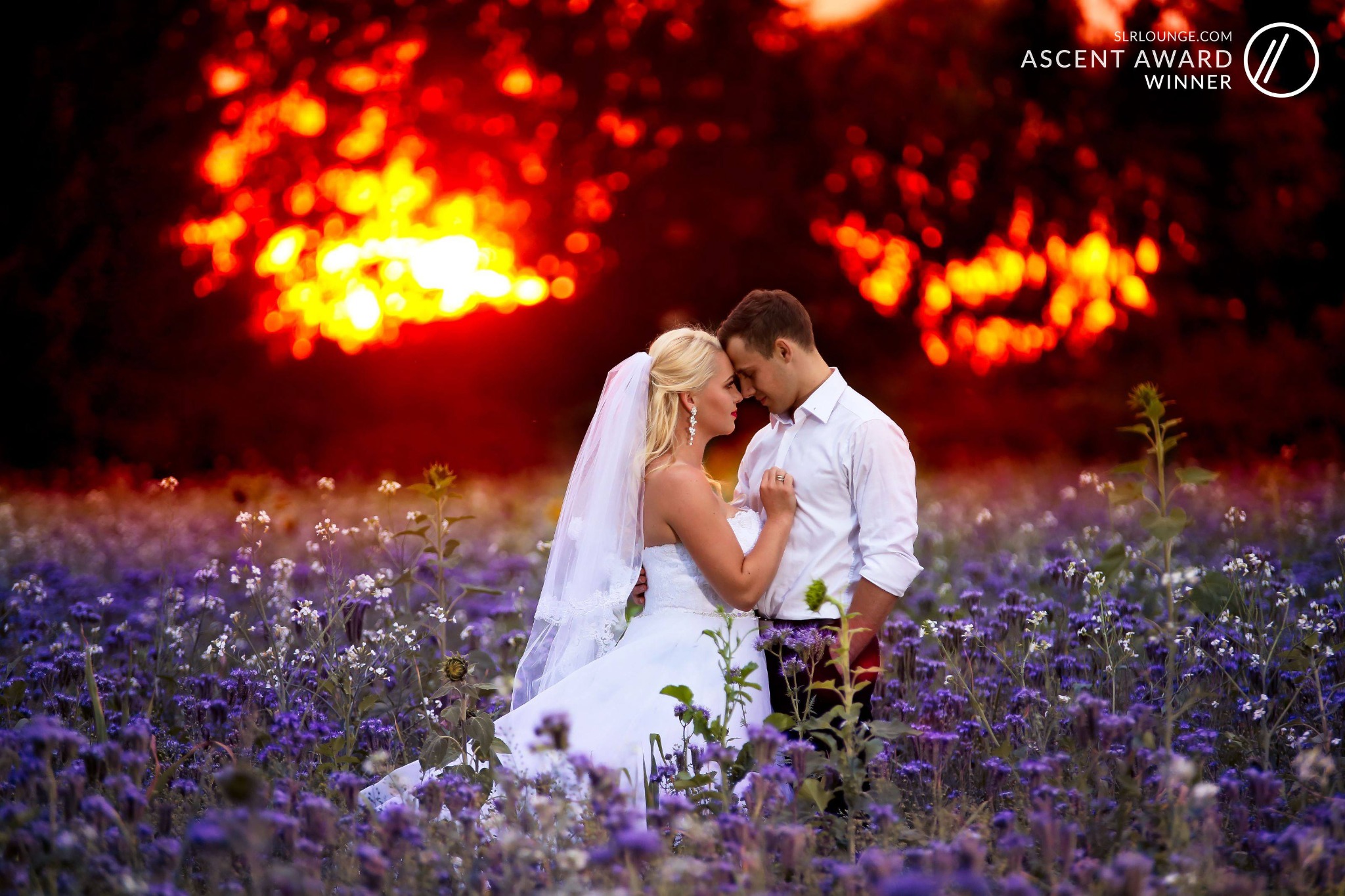 Para młoda w polu fioletowych kwiatów, z intensywnym czerwono-pomarańczowym zachodem słońca w tle i logo 'Ascent Award Winner' w prawym górnym rogu.