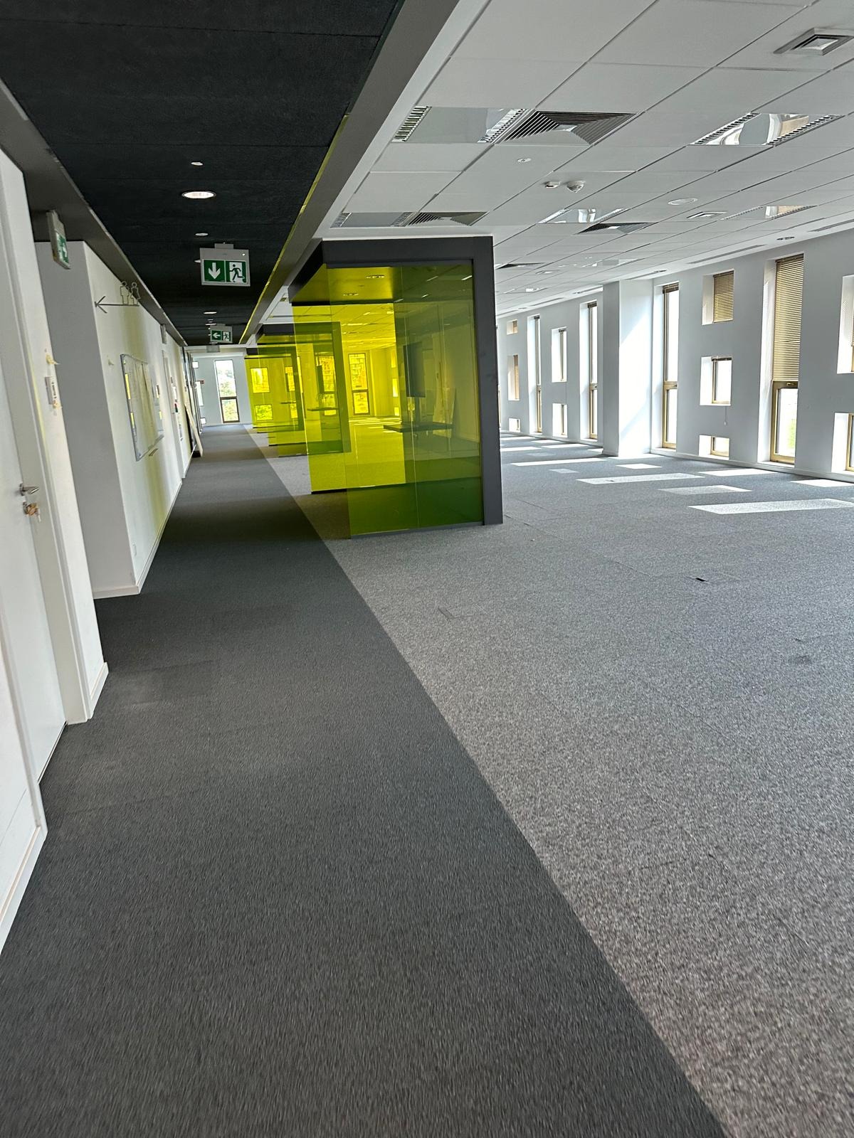 Pusta przestrzeń biurowa z szarą wykładziną dywanową, żółtymi szklanymi ściankami działowymi i rzędami okien wzdłuż białych ścian.