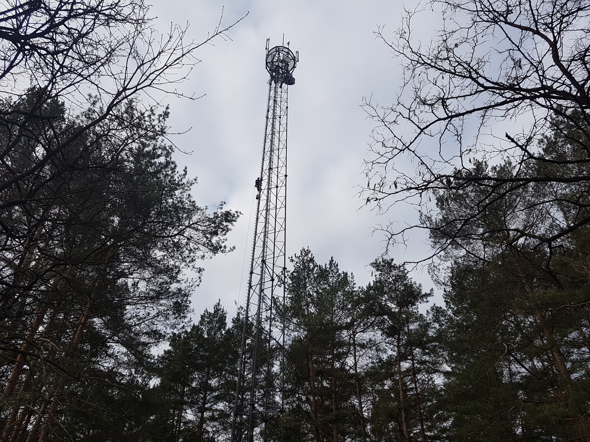 Wysoka wieża telekomunikacyjna z antenami, widziana z dołu, otoczona drzewami bez liści i iglakami na tle pochmurnego nieba, pracownik w kombinezonie wspinający się po drabinie wieży.