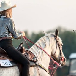 Stadniny i jazda konna Bojszów 2