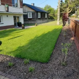 Świeżo założony trawnik z rolki, widok z perspektywy chodnika, młode drzewka wzdłuż płotu, budynek mieszkalny w tle.