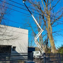 Pracownik w podnośniku koszowym przycina gałęzie drzewa rosnącego blisko linii energetycznych, na tle nowoczesnego domu z szarą elewacją i niebieskiego nieba.