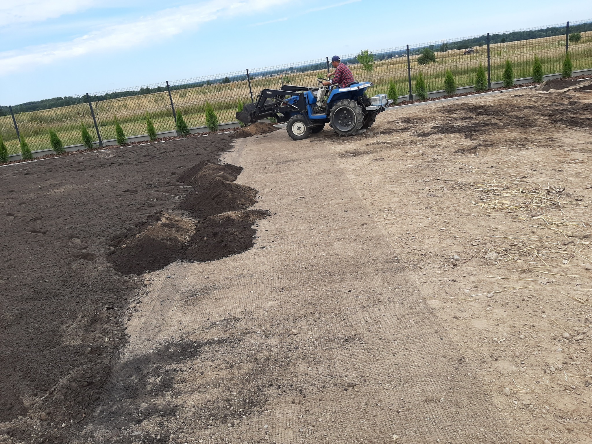 Niebieski traktor z łyżką rozrzuca ziemię na przygotowanym terenie pod przyszły ogród, widoczna siatka wzmacniająca grunt i rząd posadzonych iglaków wzdłuż ogrodzenia.