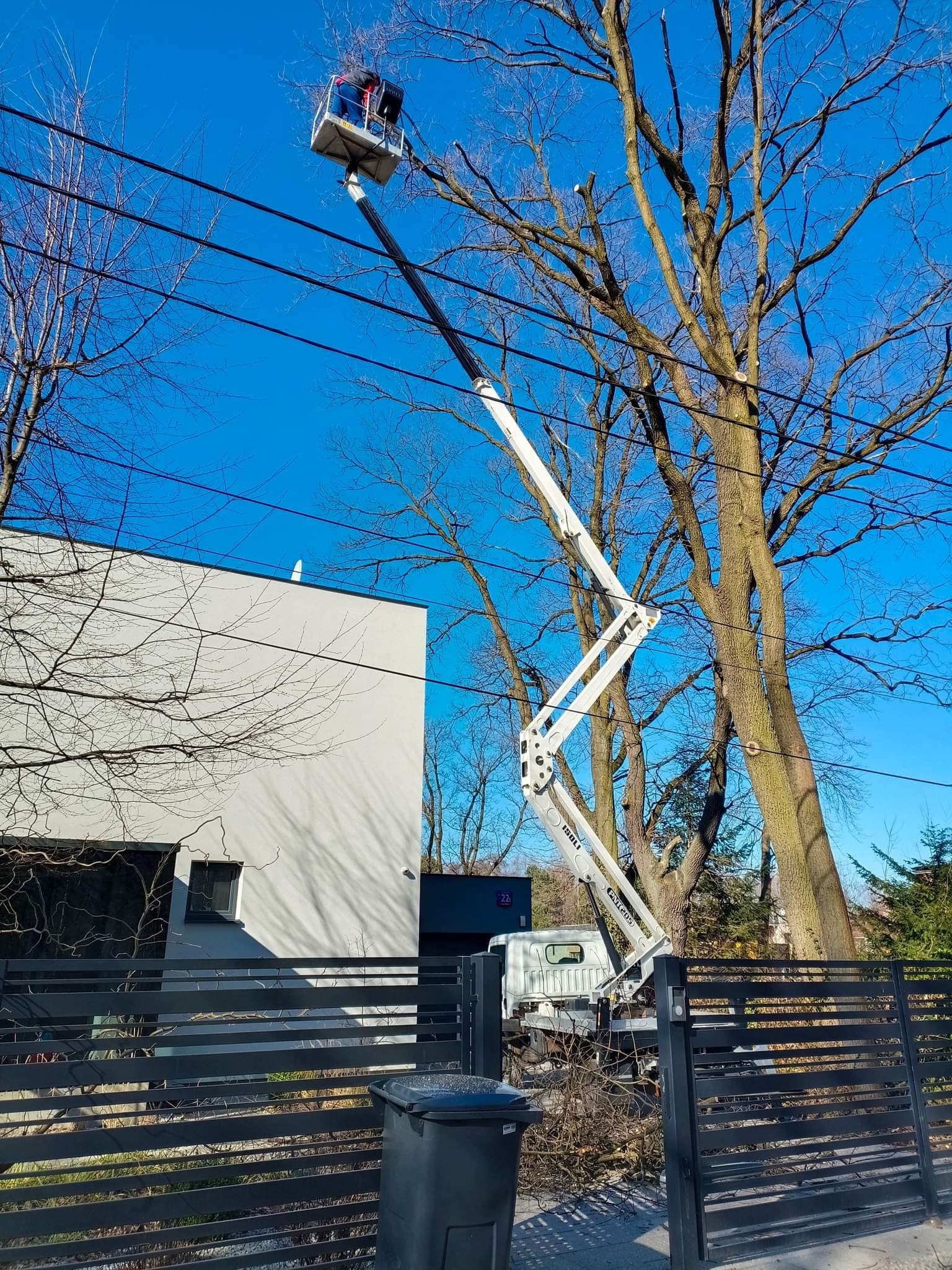 Pracownik w podnośniku koszowym przycina gałęzie drzewa rosnącego blisko linii energetycznych, na tle nowoczesnego domu z szarą elewacją i niebieskiego nieba.