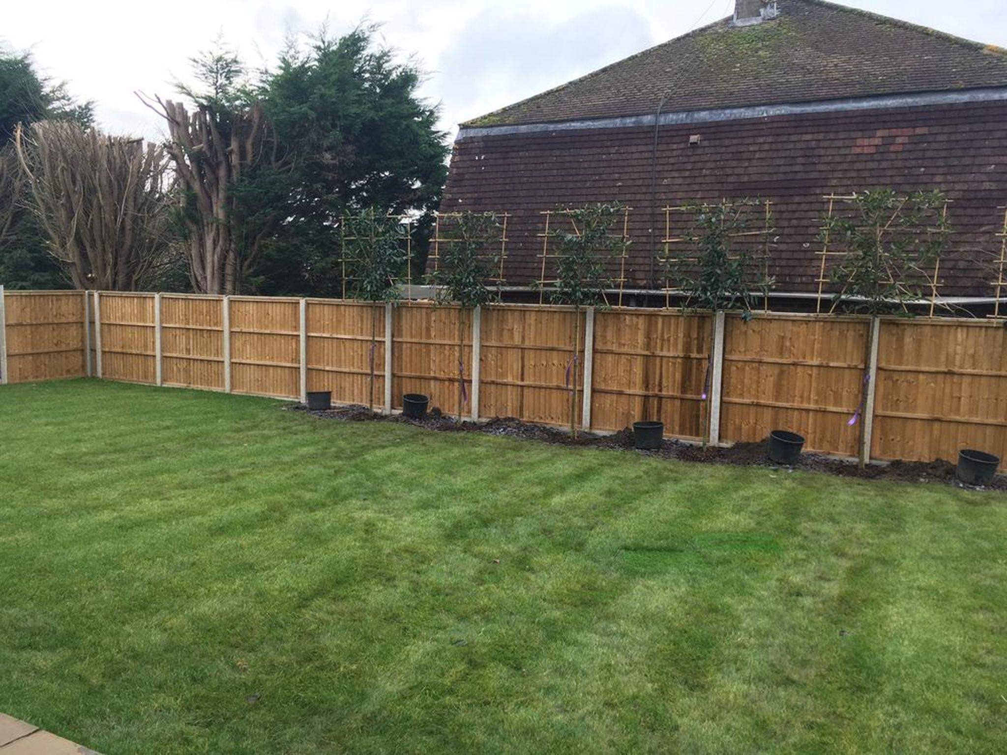 Nowo postawione drewniane ogrodzenie panelowe z betonowymi słupkami, za którym posadzone są małe drzewka w czarnych donicach, na tle zielonego trawnika i domu z brązowym dachem.