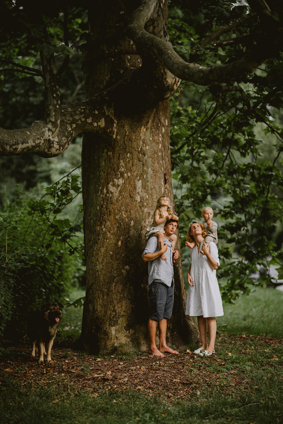 Rodzina z dwójką małych dzieci, córka siedzi na ramionach ojca, syn na ramionach matki, stoją pod rozłożystym drzewem w plenerze, obok nich stoi pies rasy owczarek niemiecki.