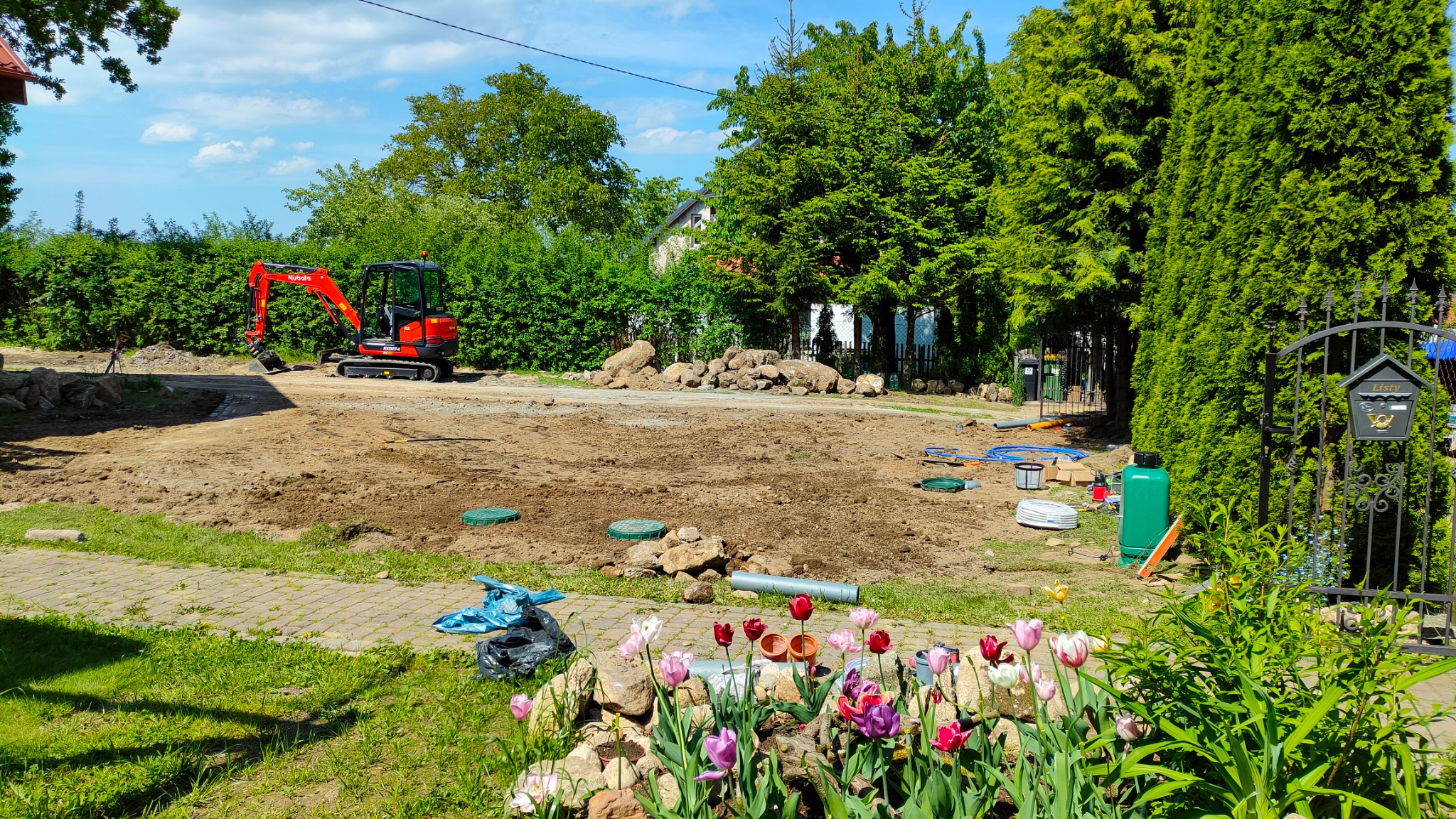Czerwona mini-koparka Kubota na placu budowy, przygotowany teren, widoczne rury i studzienki, w tle zieleń drzew i krzewów, w pierwszym planie rabata z tulipanami.
