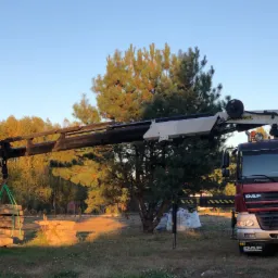 Żuraw samochodowy Palfinger podnosi pakiet płyt betonowych na tle drzew i nieba o zmierzchu.