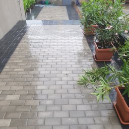 Wojtek - Świeżo ułożona, mokra kostka brukowa w odcieniach szarości i czerni tworząca ścieżkę, z donicami z oleandrami po prawej stronie. W tle widoczny budynek gospodarczy.