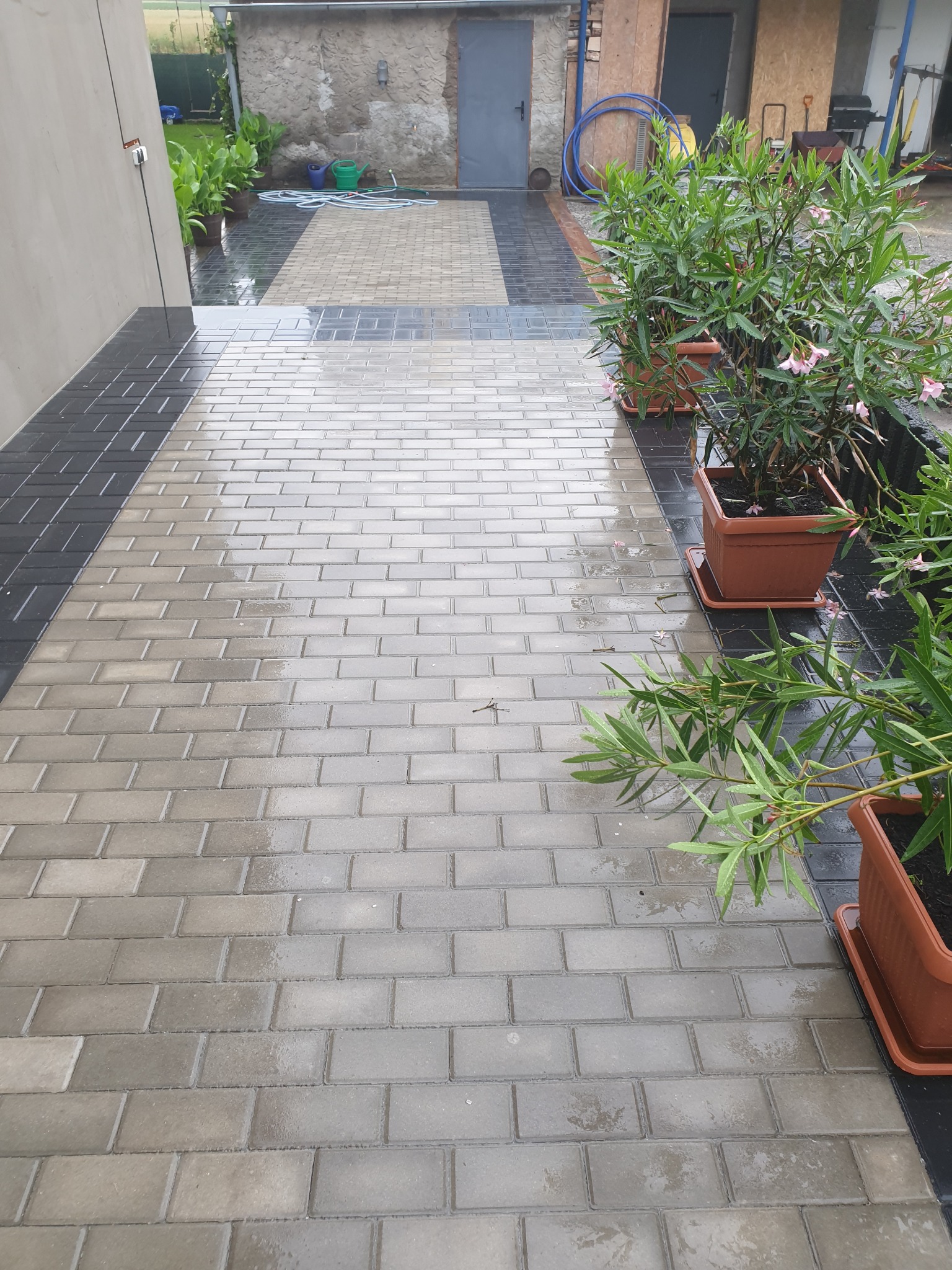 Świeżo ułożona, mokra kostka brukowa w odcieniach szarości i czerni tworząca ścieżkę, z donicami z oleandrami po prawej stronie. W tle widoczny budynek gospodarczy.
