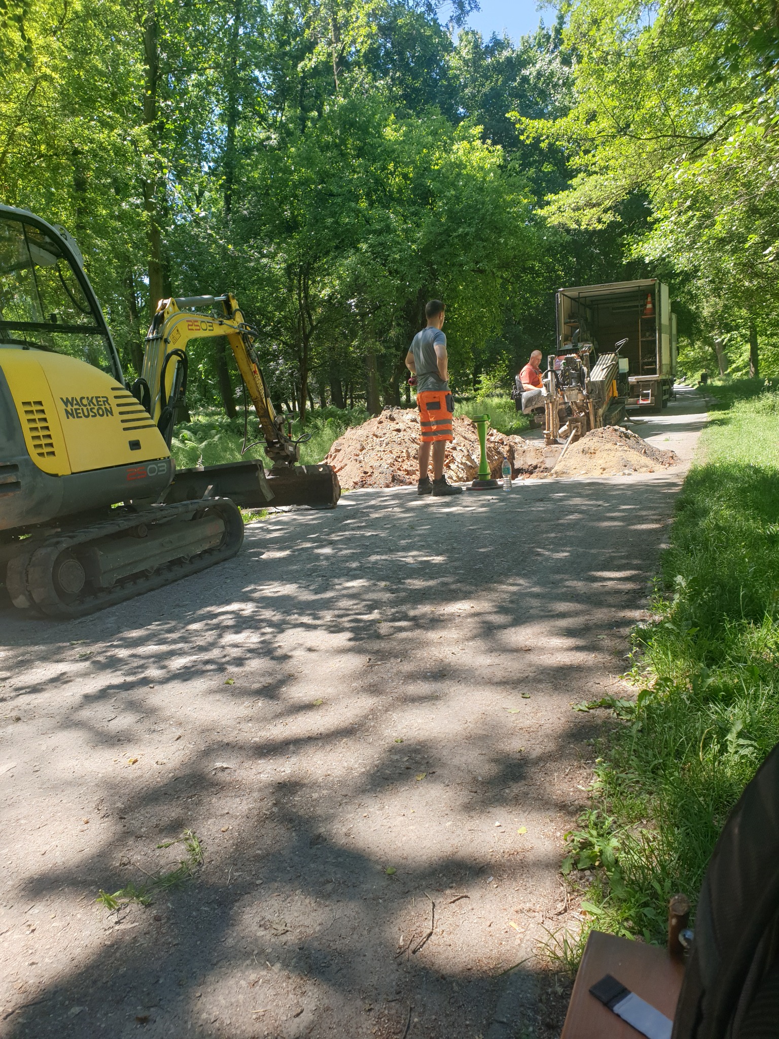 Prace ziemne w parku: żółta koparka Wacker Neuson 2503, wykop, pracownicy w odblaskowych ubraniach i ciężarówka w tle, otoczenie drzew.