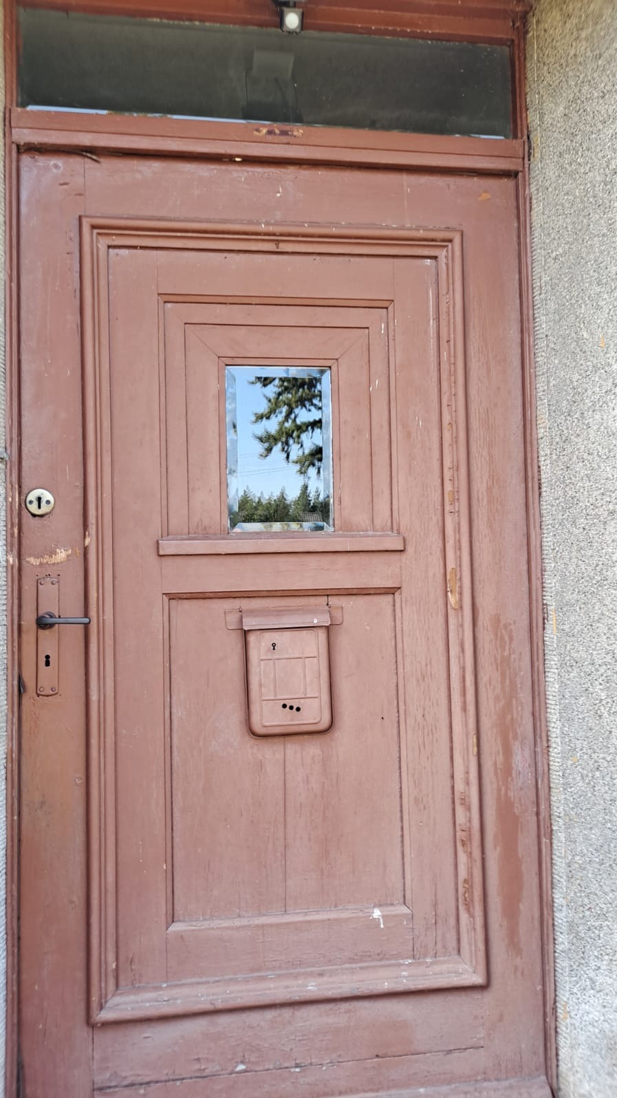 Brązowe, drewniane drzwi wejściowe z małym okienkiem i skrzynką na listy, widoczne ślady zużycia i odpryski farby.