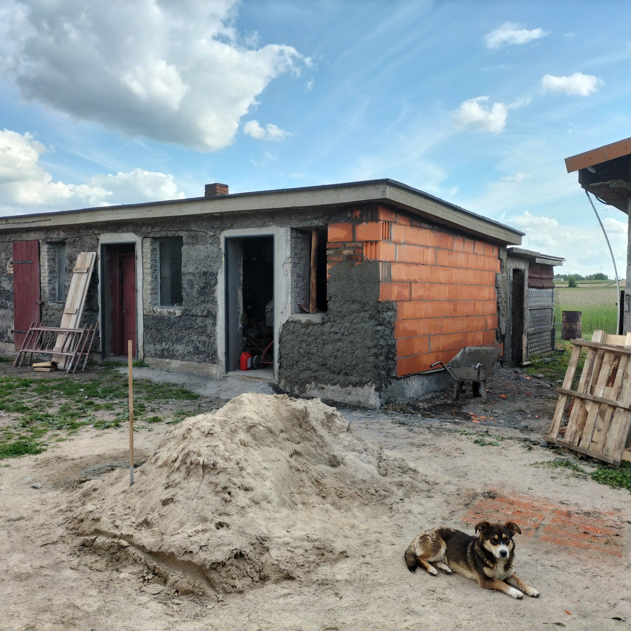 Budynek w trakcie prac murarskich, z widocznymi fragmentami ściany z cegły i nałożonym tynkiem. Na pierwszym planie pies leżący obok sterty piasku, narzędzia budowlane w tle.