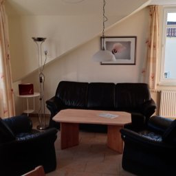 Sprzątanie apartamentów , mieszkań , domów , pomieszczeń usługowo-gospodarczych.