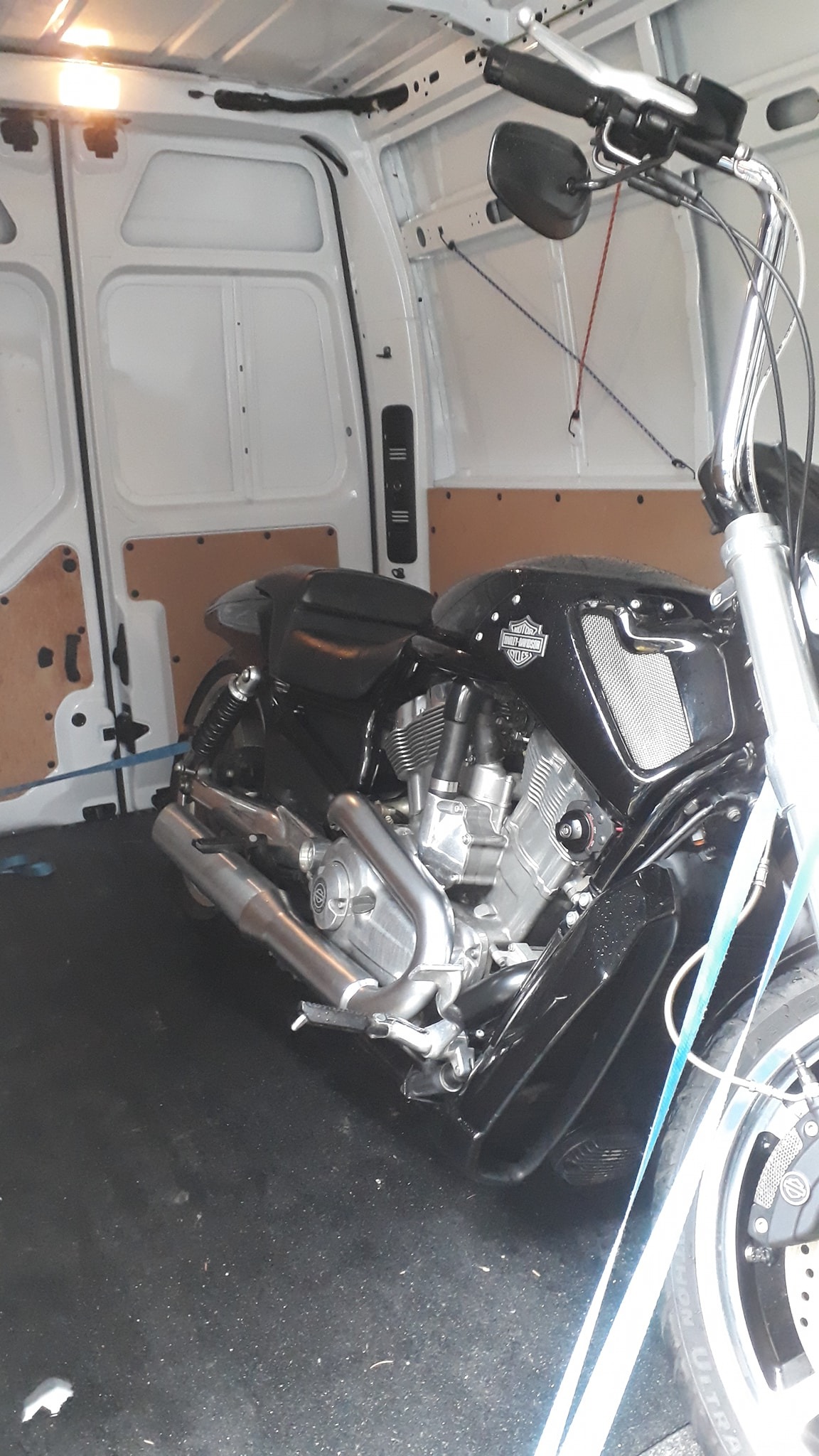 Czarny motocykl Harley-Davidson V-Rod zabezpieczony pasami transportowymi wewnątrz białej furgonetki.