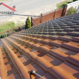 Mycie dachów Śrem 1