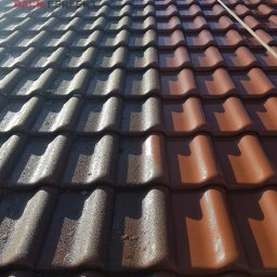 Mycie dachów Śrem 3