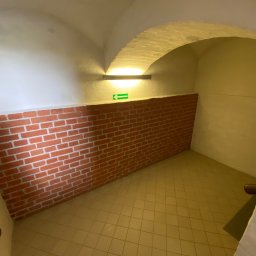 Odświeżenie ścian oraz konserwacja części zabytkowego muru ceglanego na terenie Hevelianum w Gdańsku  