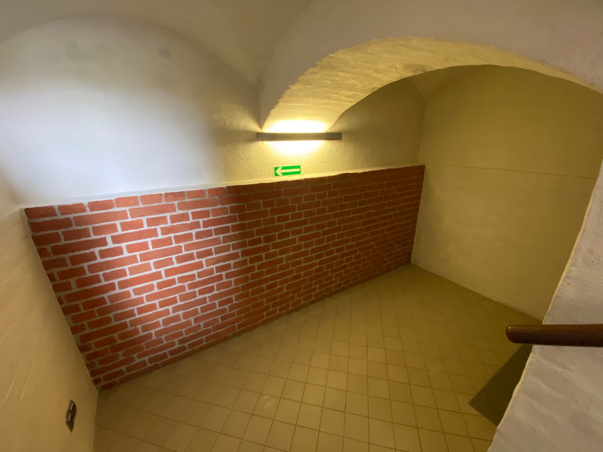 Odświeżenie ścian oraz konserwacja części zabytkowego muru ceglanego na terenie Hevelianum w Gdańsku